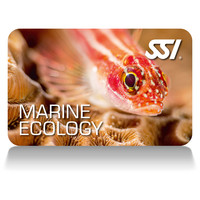 Marine Ecology 200