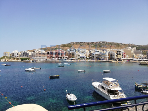 Dive Pelagus - Gozo 2019