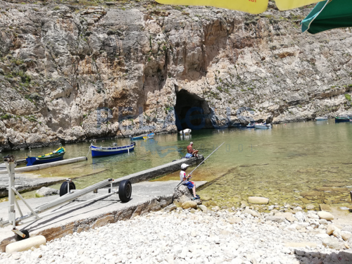 Dive Pelagus - Gozo 2019